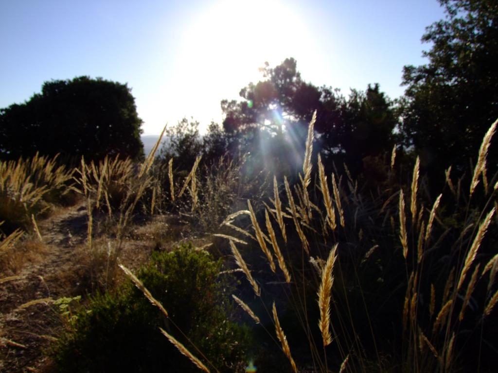 Cortijo Balzain * La Zubia (Granada)
