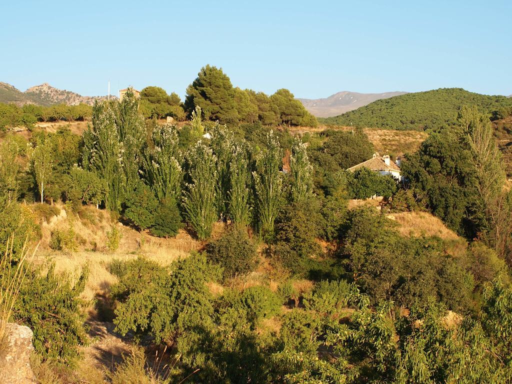 Apartment Cortijo Balzain *