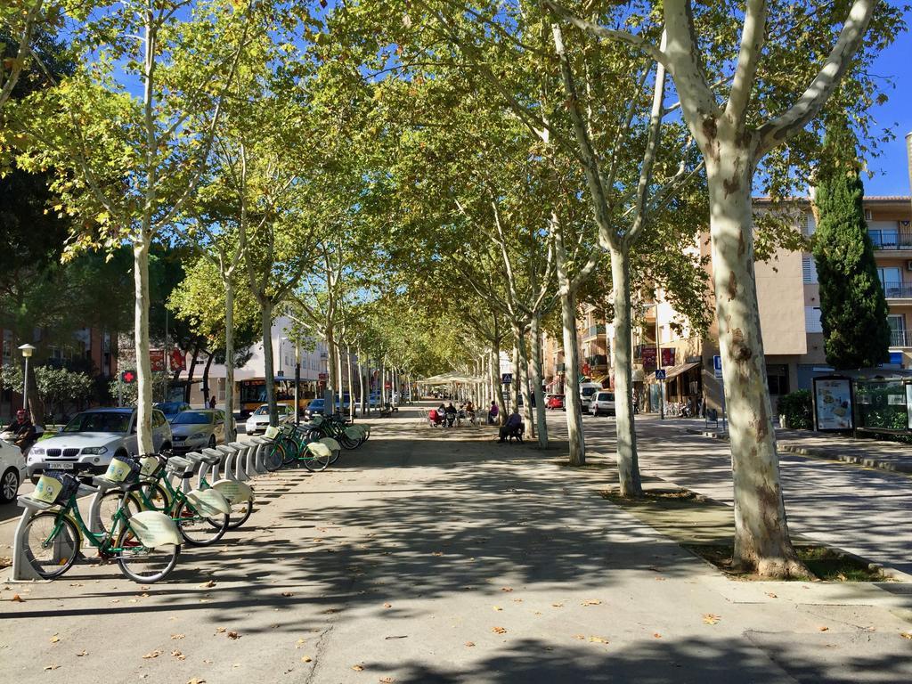 Apartamento Piso Céntrico De 100 M2 Gerona