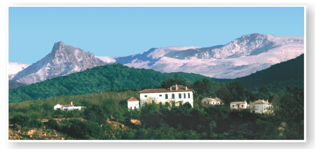 Cortijo Balzain Apartment La Zubia (Granada)