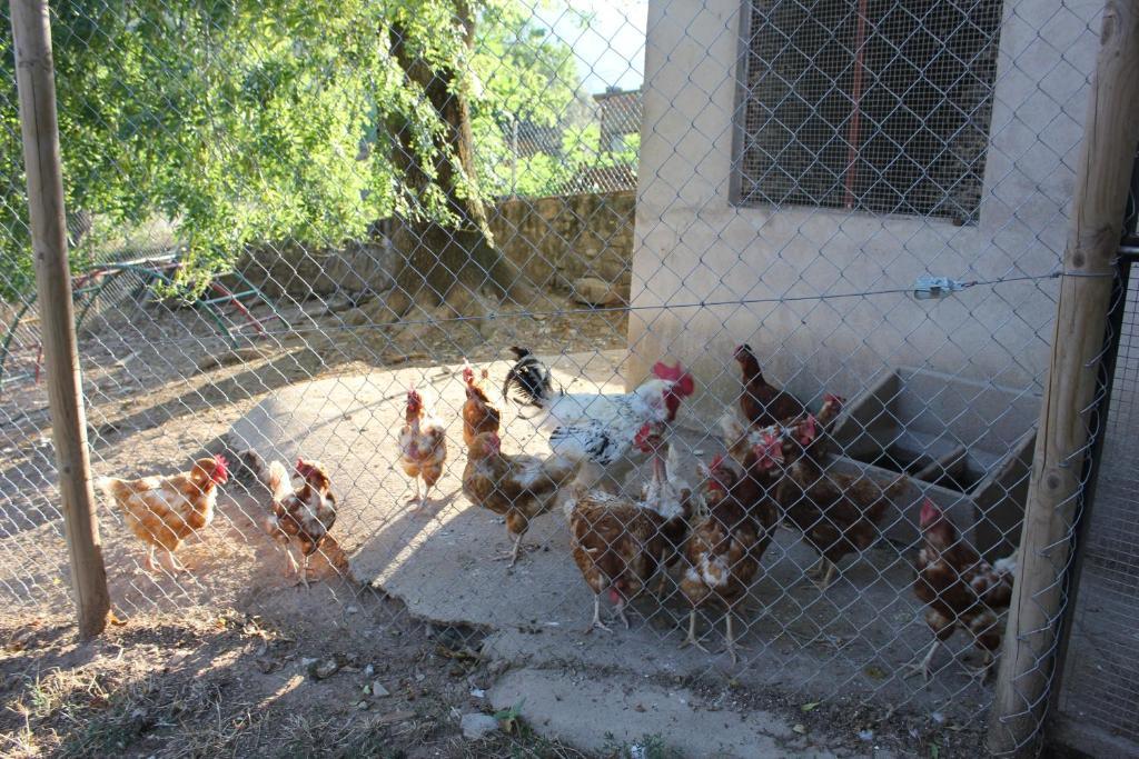 Carreras Casa rural