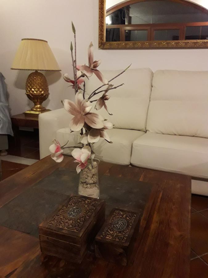 Casa Rural Los Naranjos Piscina Y Pista Tenis Privada