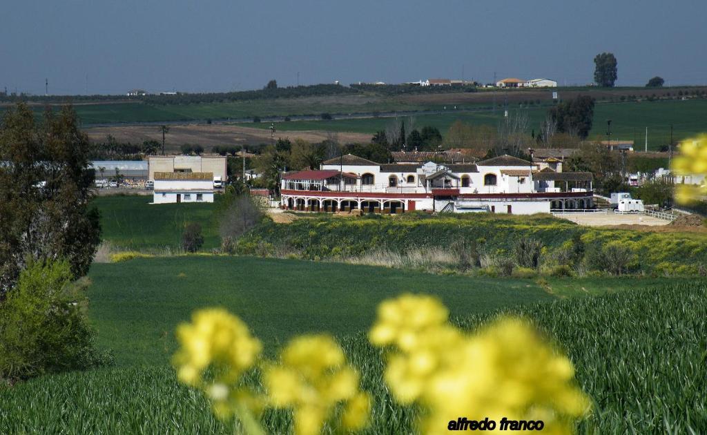El Pilar 3*