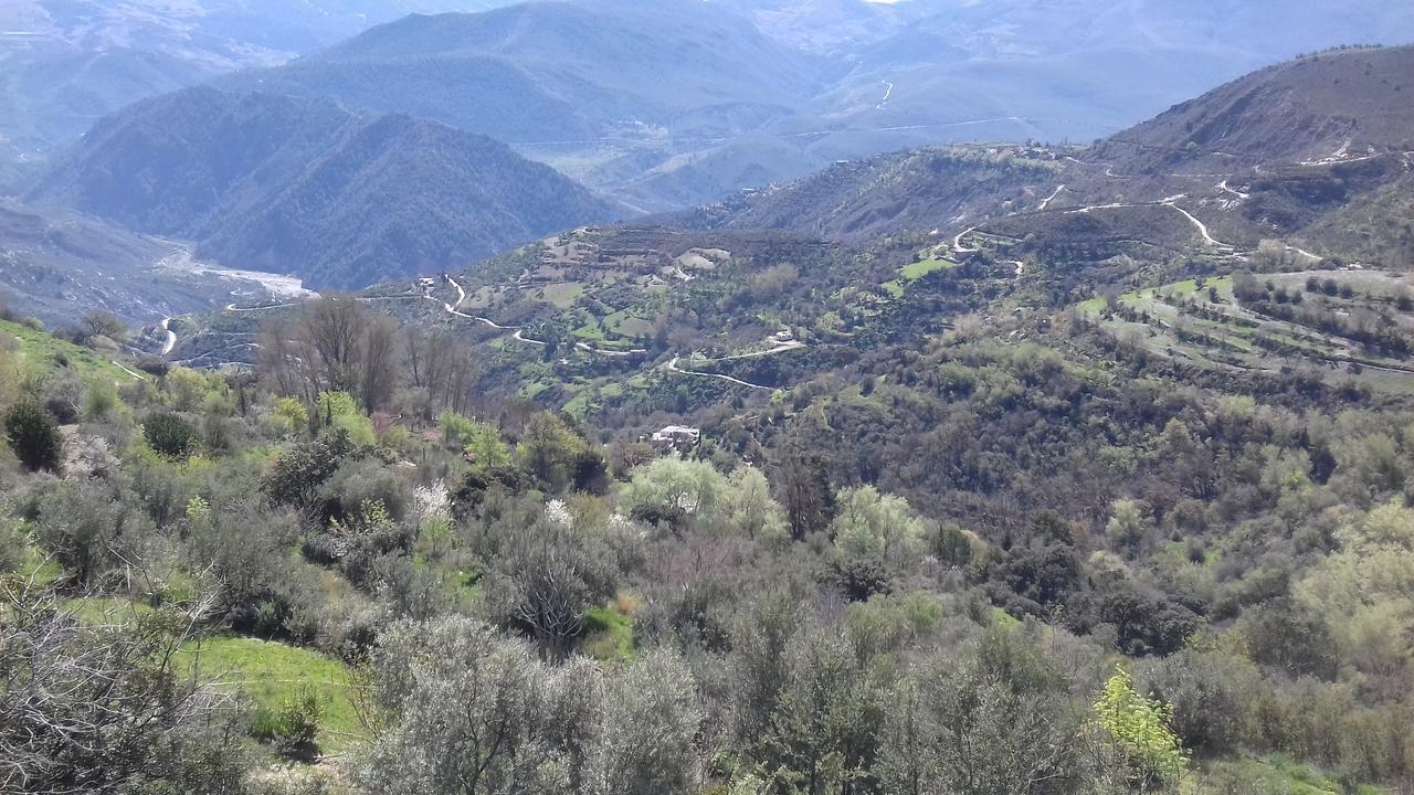 Apartamento Dreams Alpujarra *