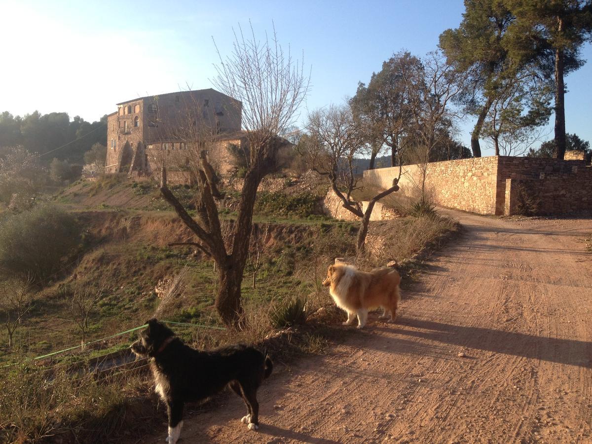 Masia Casajoana Rural Guest house Rellinars