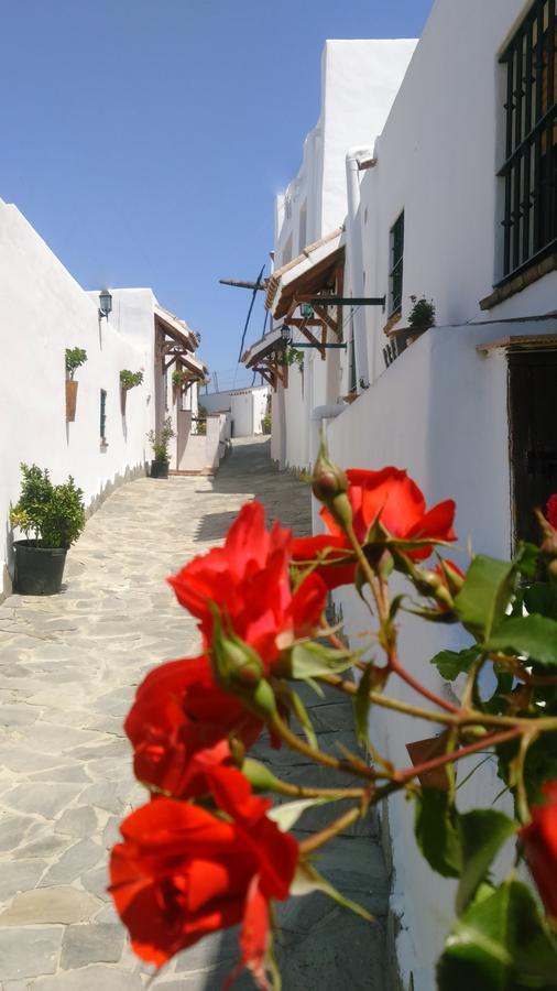 Casas El Molino *