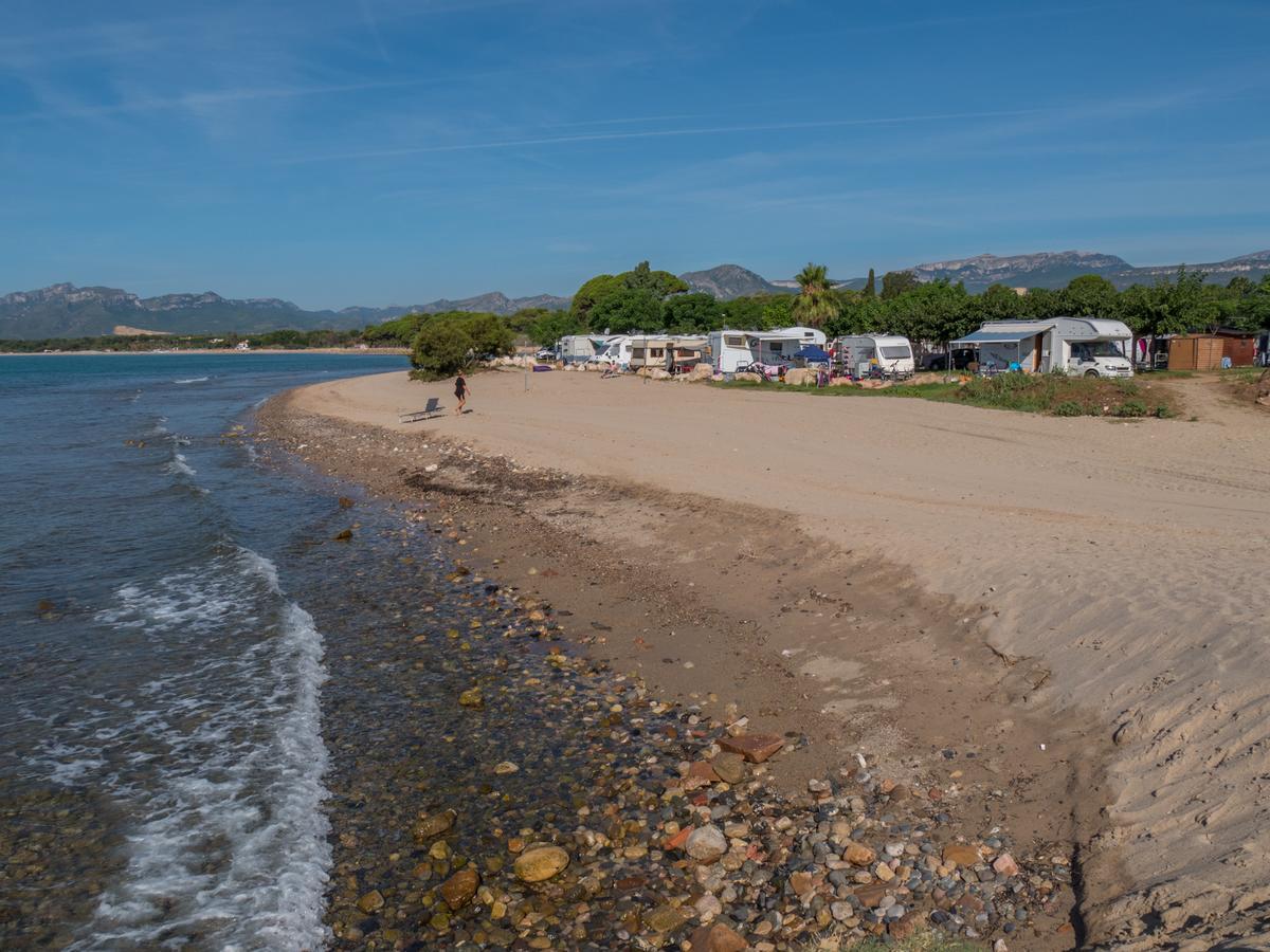 Playa Y Fiesta