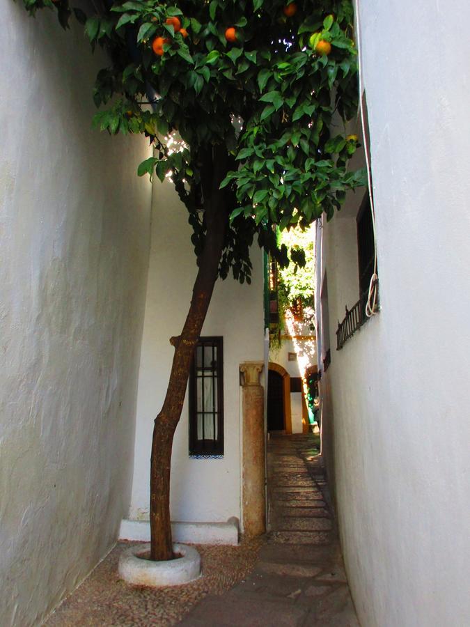 Con Encanto Lubi Córdoba