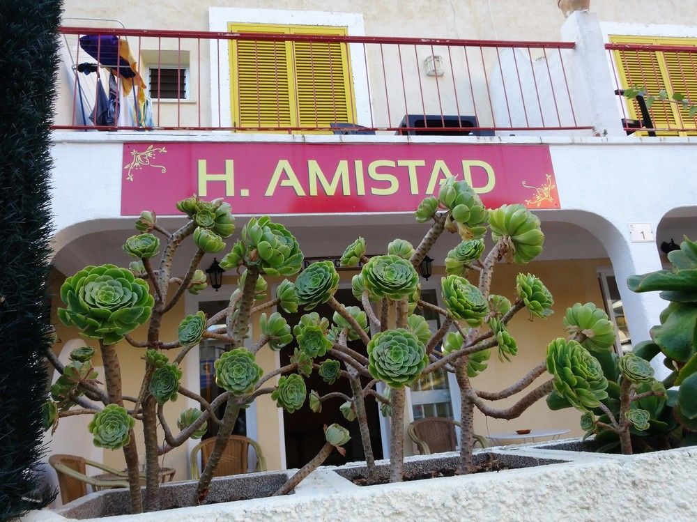 Pensión Flor Amistad *