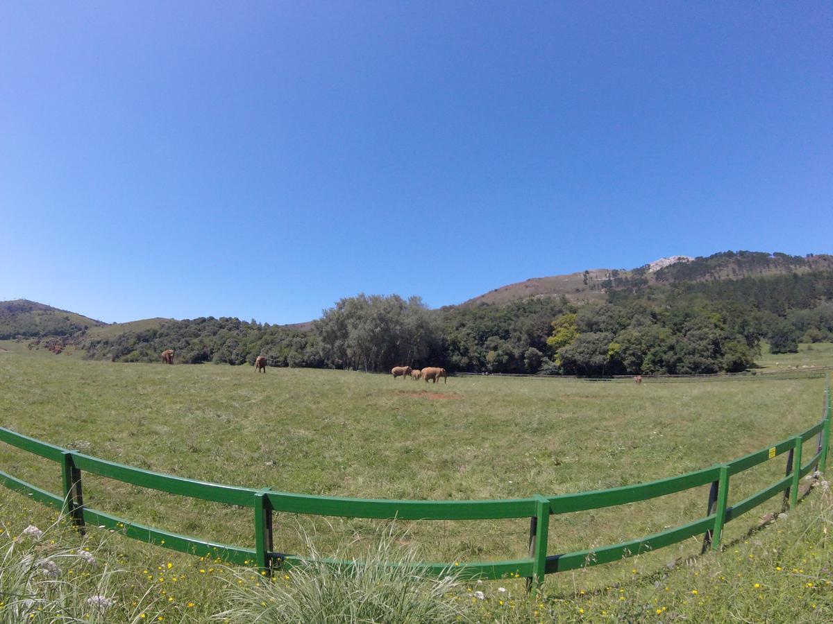 La Senda De Elefantes Holiday home *