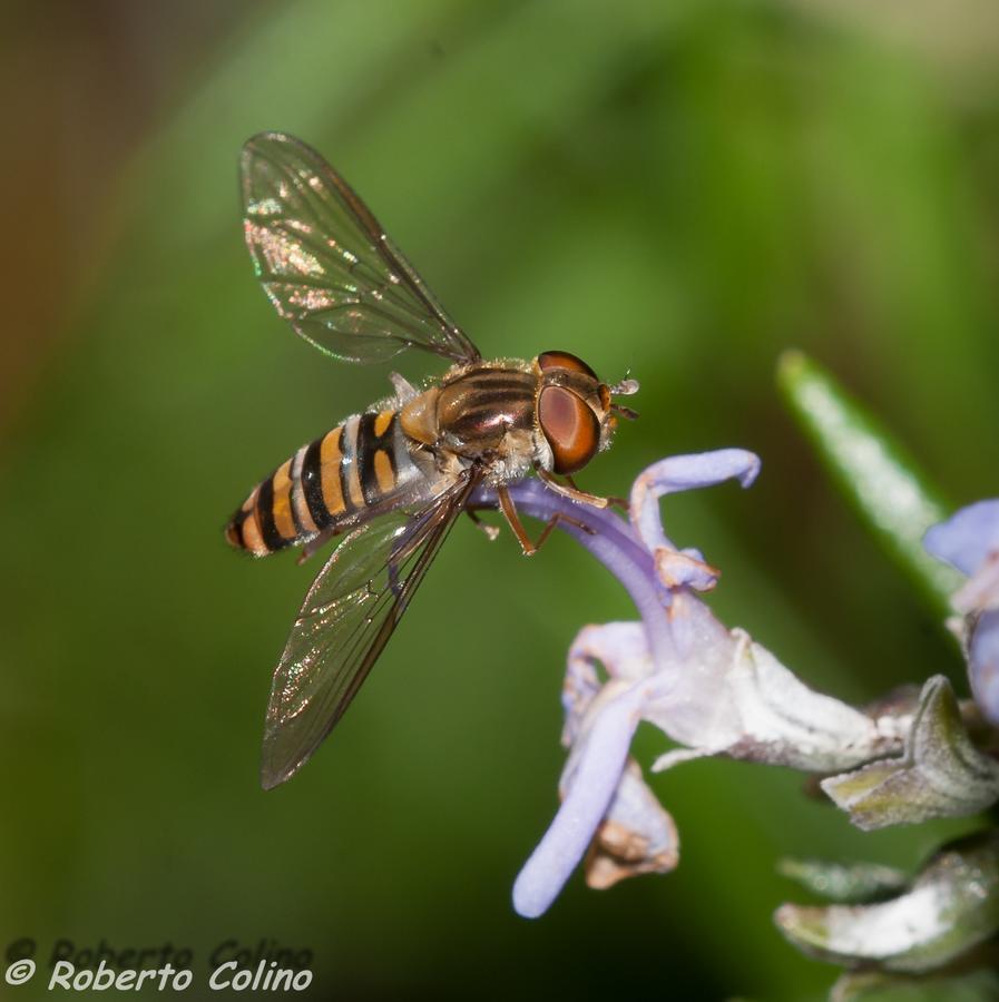 Artesoro Baserria San Pedro de Galdames