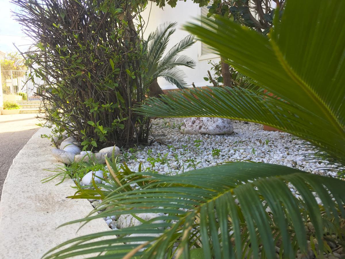 Apartamento Anacasa Oasis Ii Marineta Ap2116 Dénia