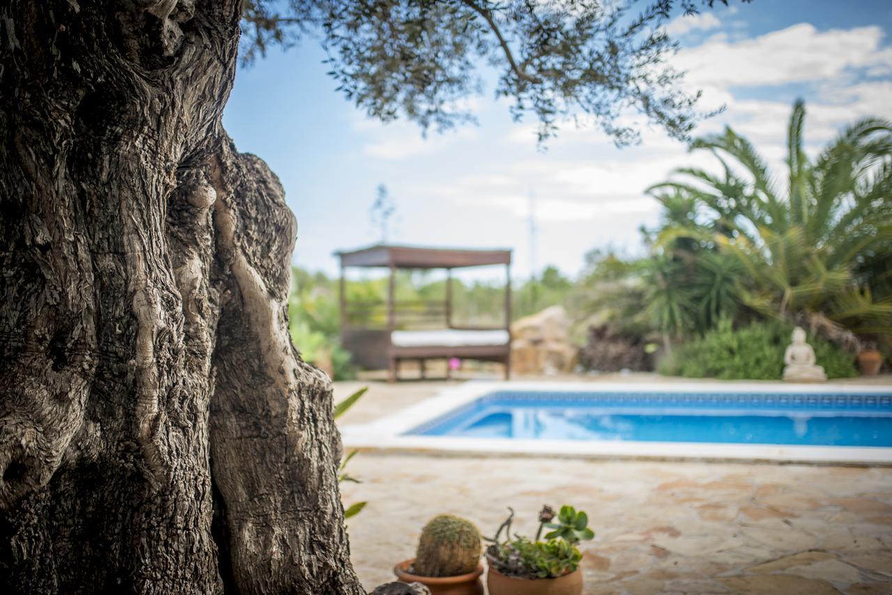 Massaueta Villa *