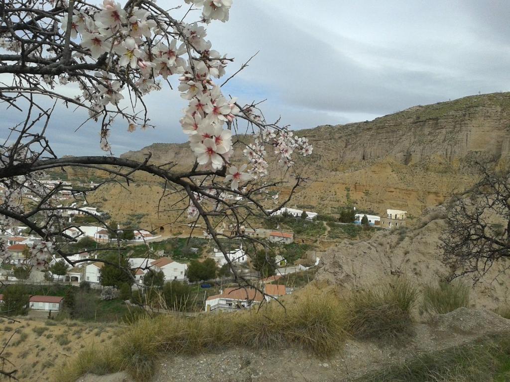 Cuevas El Torriblanco * Gorafe