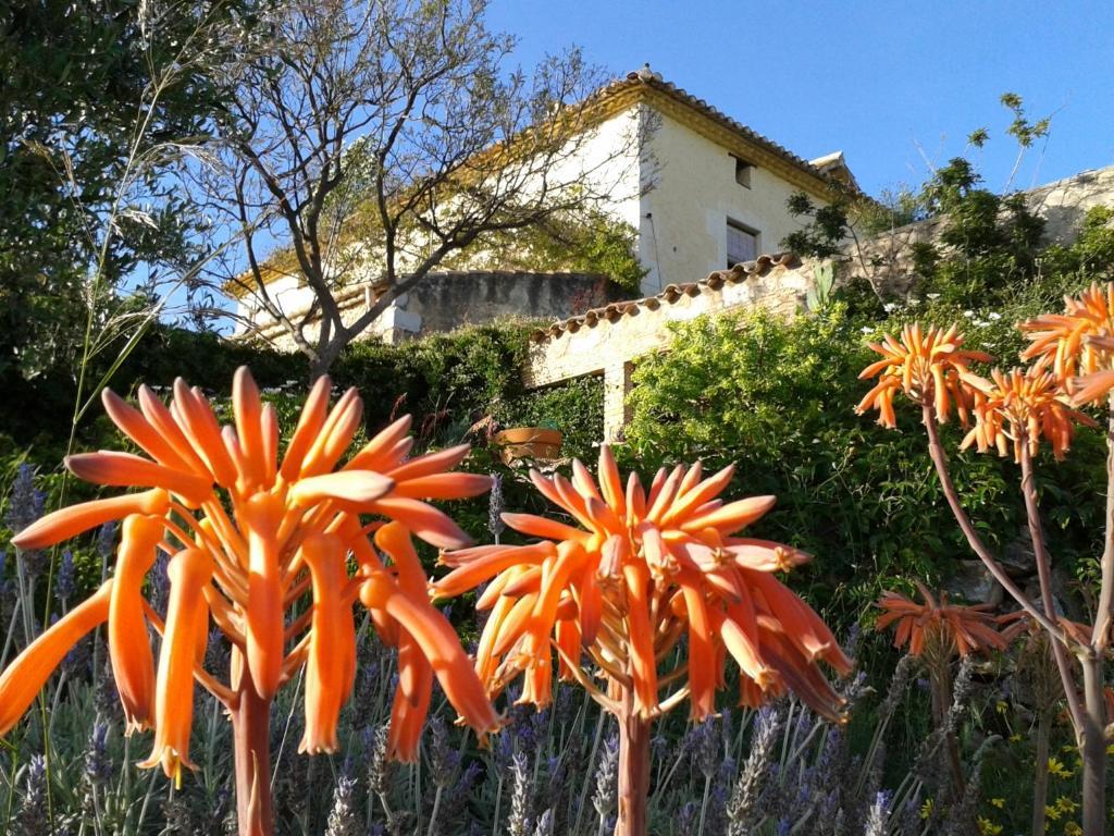 Mas Castell De Gimenelles Hotel 3*