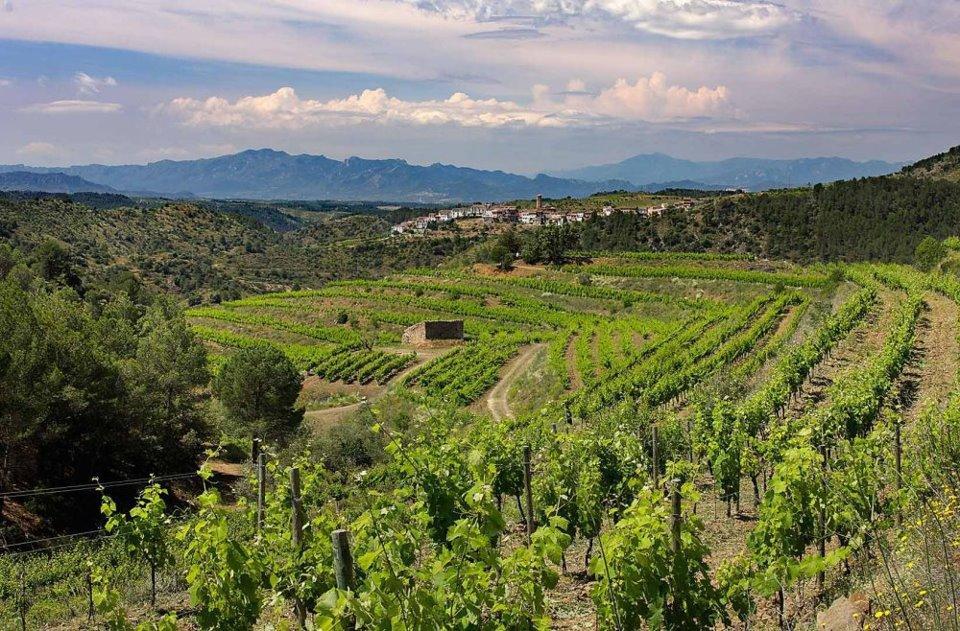 Clos Figueras Bed & Breakfast