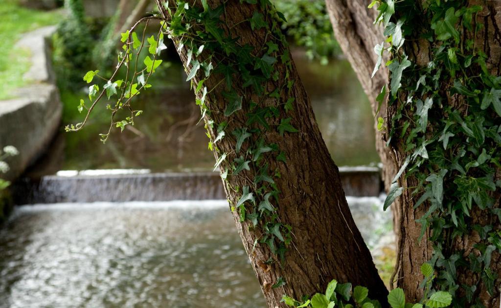 Balneario De Hotel