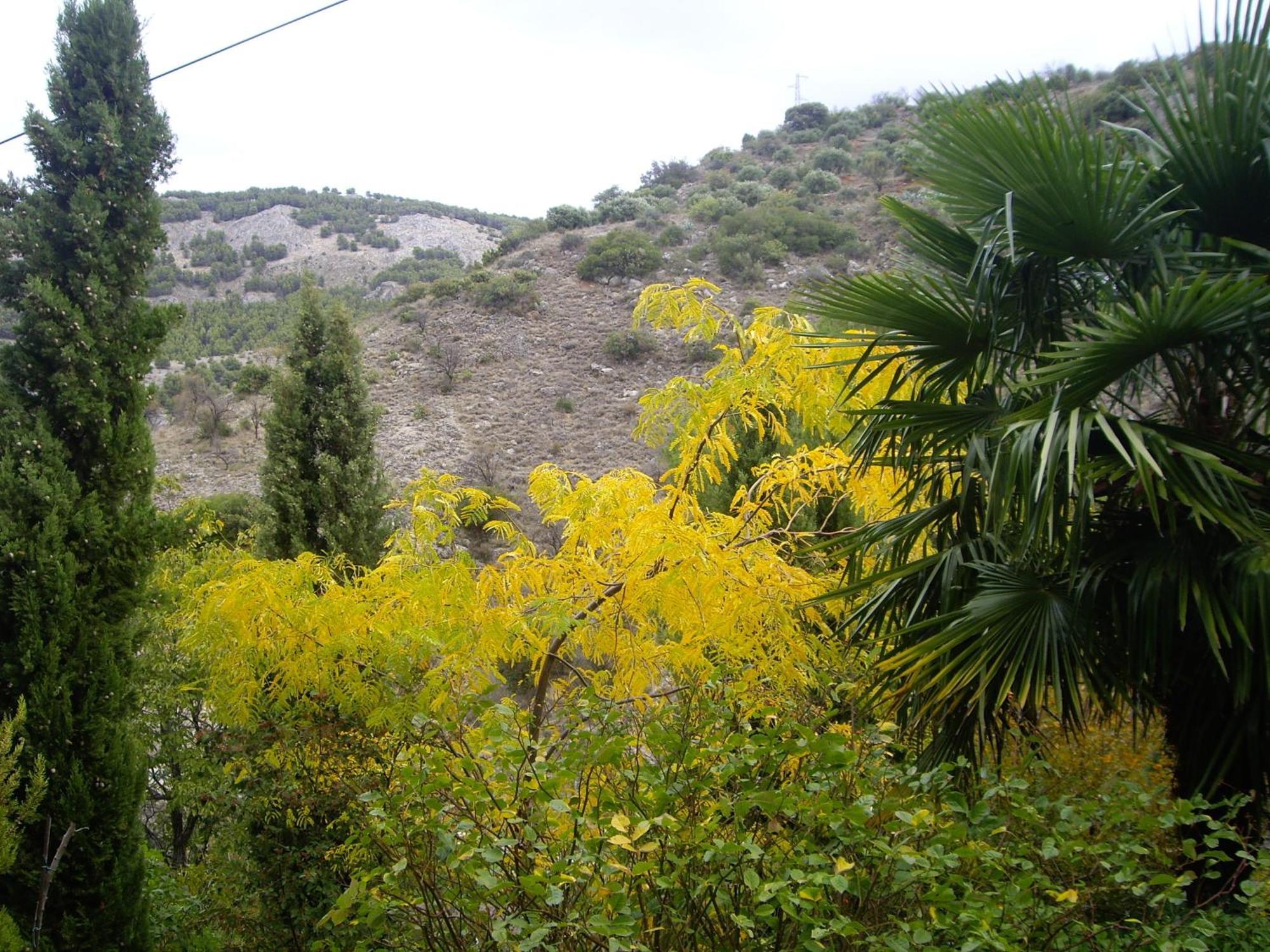 La Casita