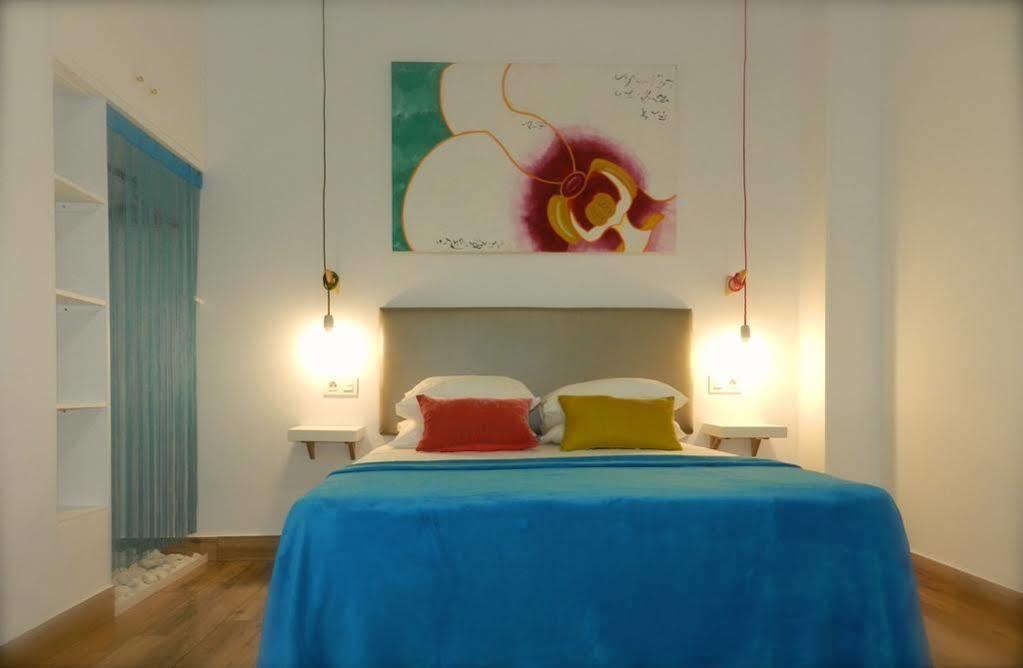 Carolina Apartamento *