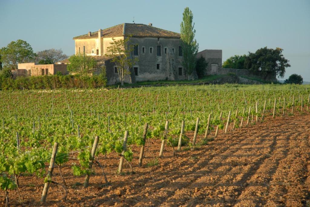 Mas Castell De Gimenelles Sant Jaume dels Domenys