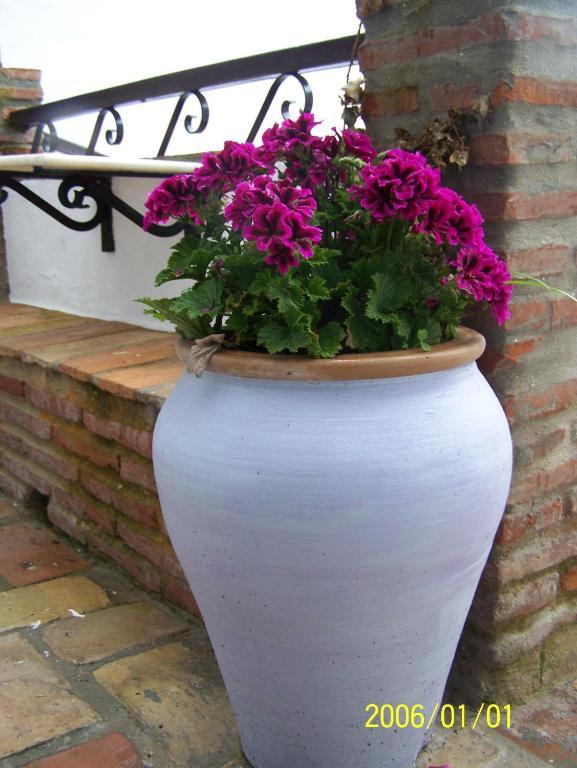 Apartamento Vivienda De Rural Casa Naty Vejer de la Frontera