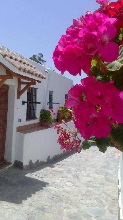 Casas El Molino Villa *