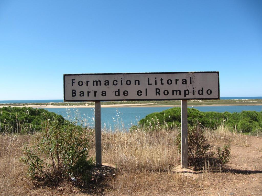 Life * El Rompido