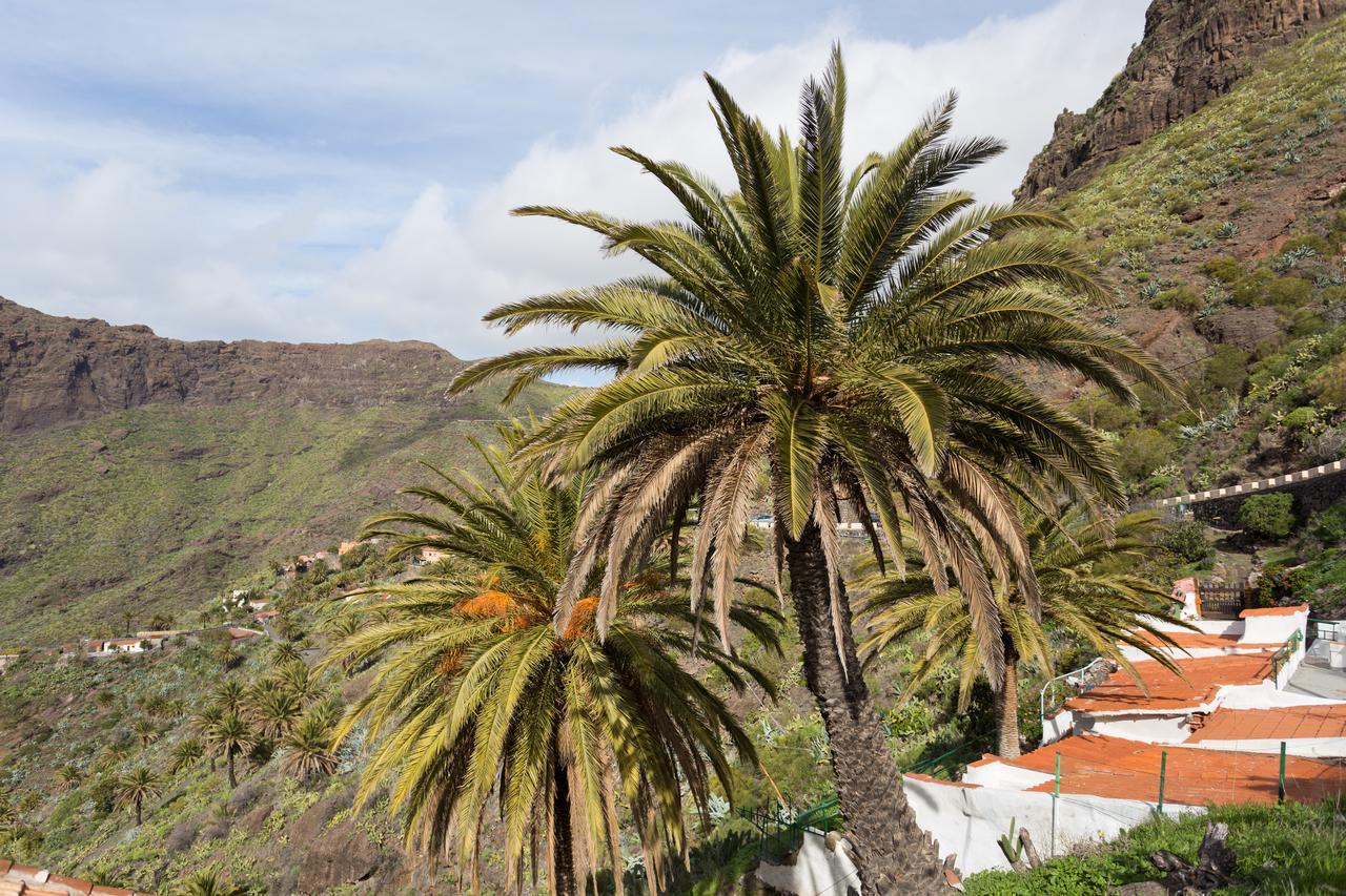Holiday home Masca With Garden Buenavista Del Norte