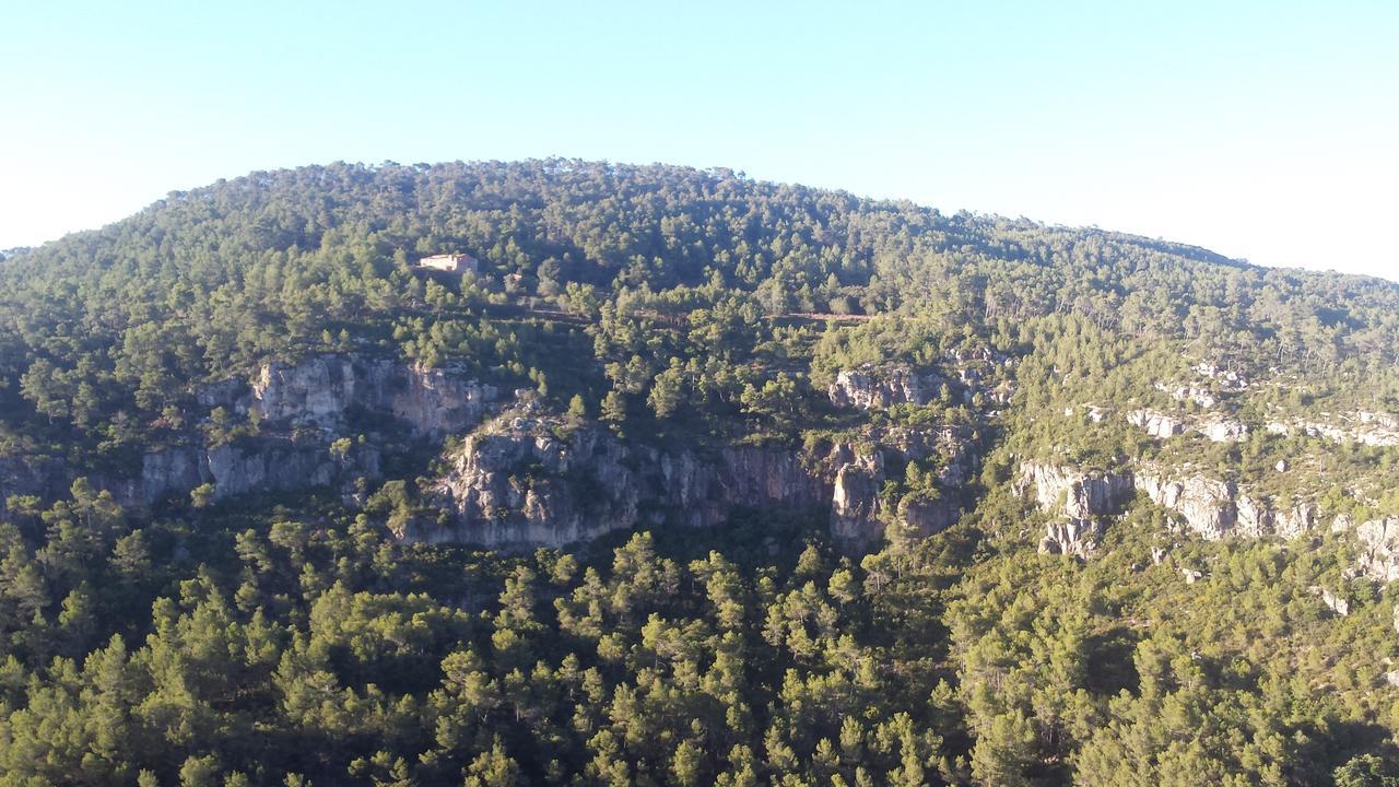 Casa Del Pi 3* La Llacuna