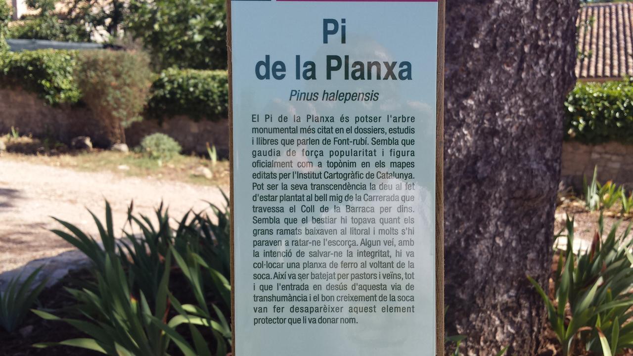Bed and breakfast Casa Del Pi 3*