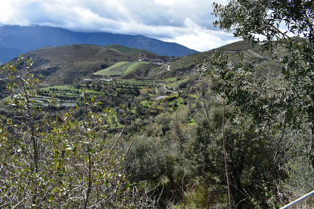 Apartamento Dreams Alpujarra