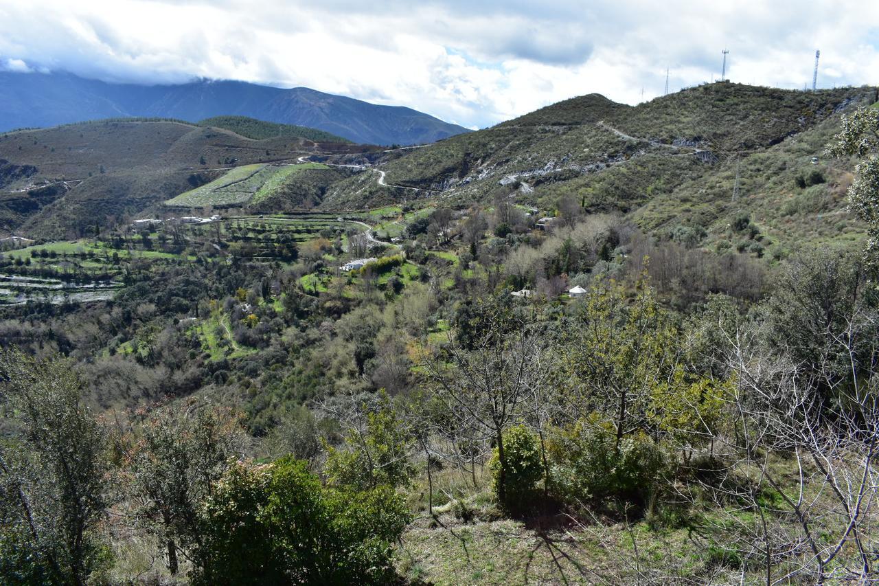 Apartamento Dreams Alpujarra