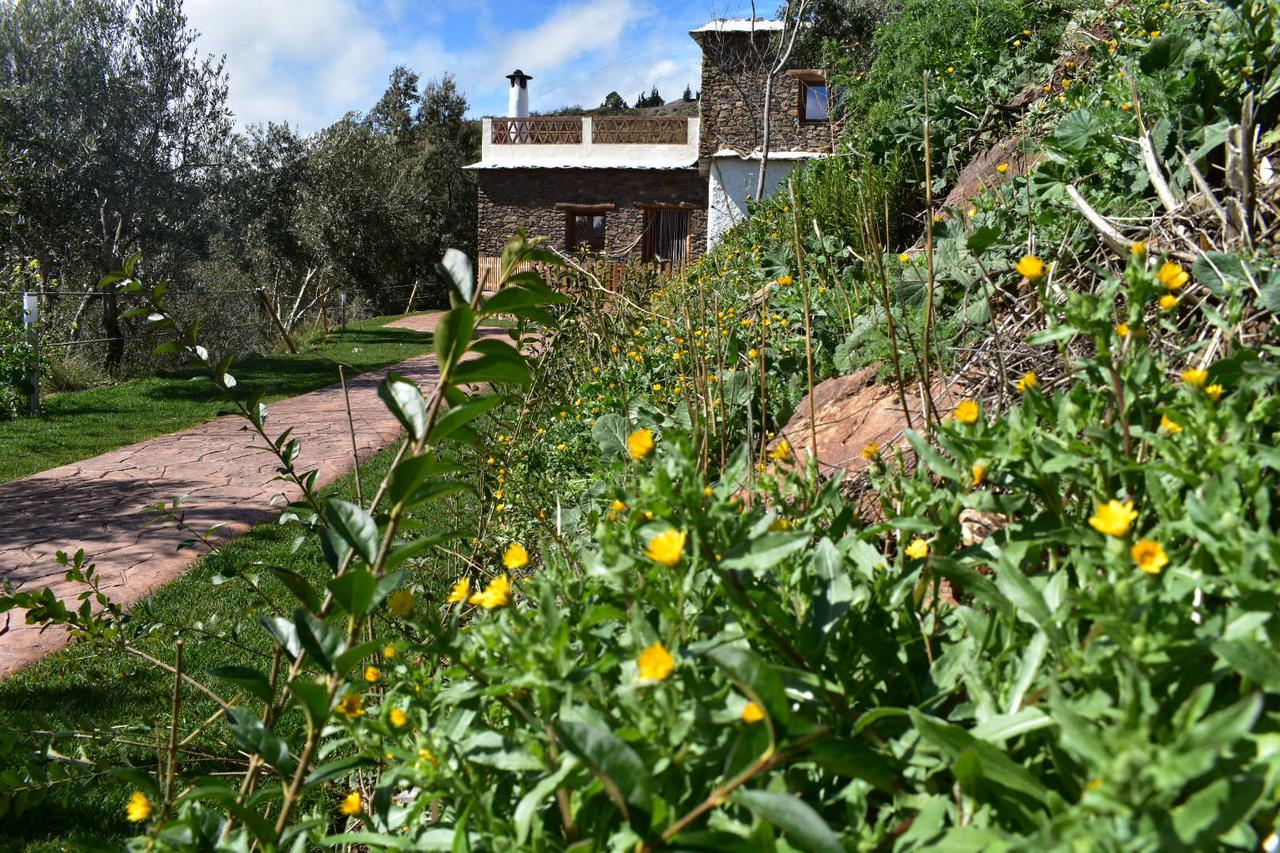 Dreams Alpujarra Apartamento