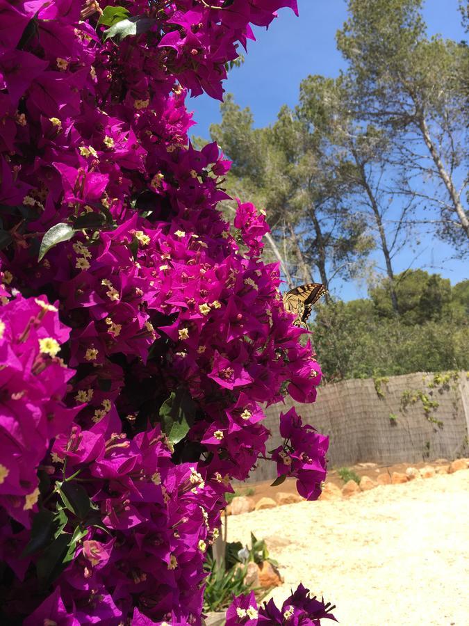 Can Bliss Bed and breakfast Cala Llena