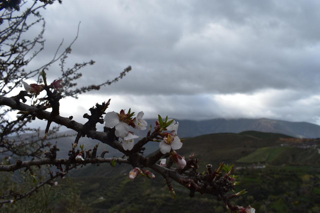 Dreams Alpujarra * Pampaneira