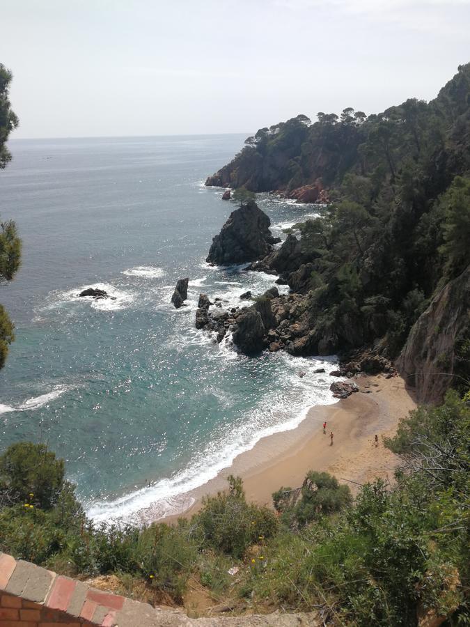 Plaja I Pati De Plaja Pensión Palafrugell