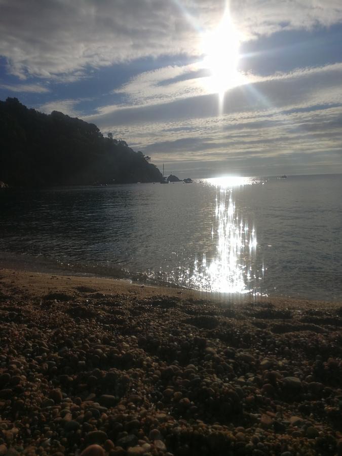 Plaja I Pati De Plaja 2* Palafrugell