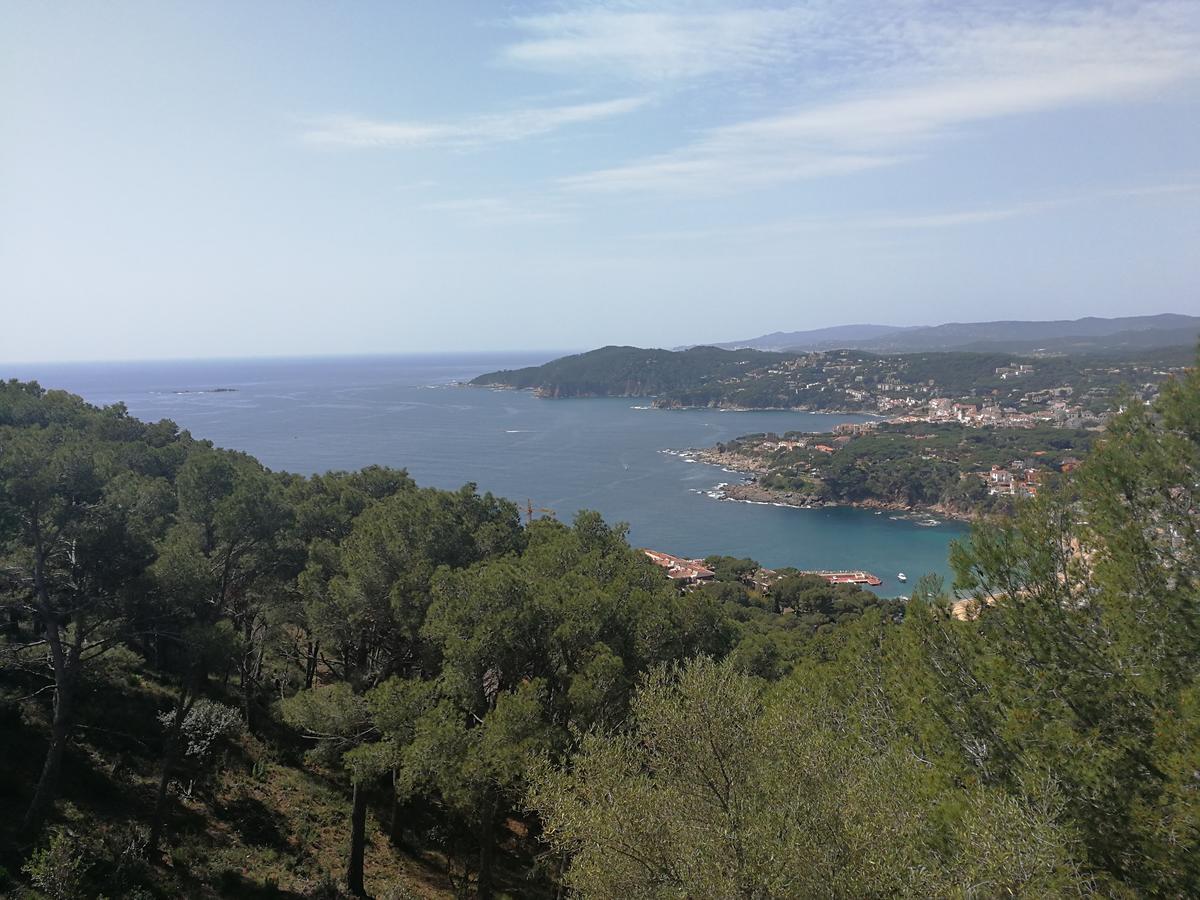Plaja I Pati De Plaja Pensión