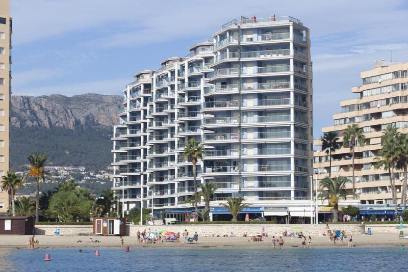 Hipocampos Calpe