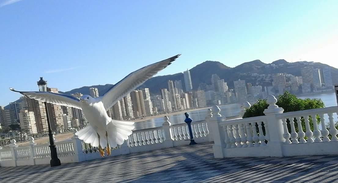 Apartamento Acuarium Lux