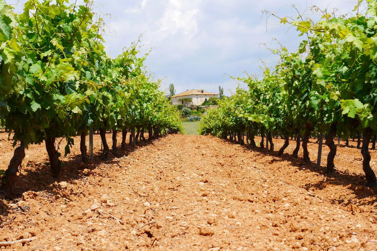 Mas Castell De Gimenelles Hotel 3*