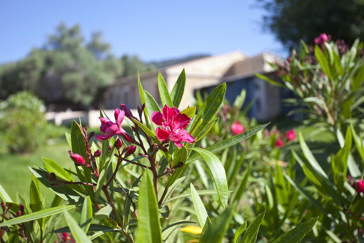 Agroturismo Dalt Murada