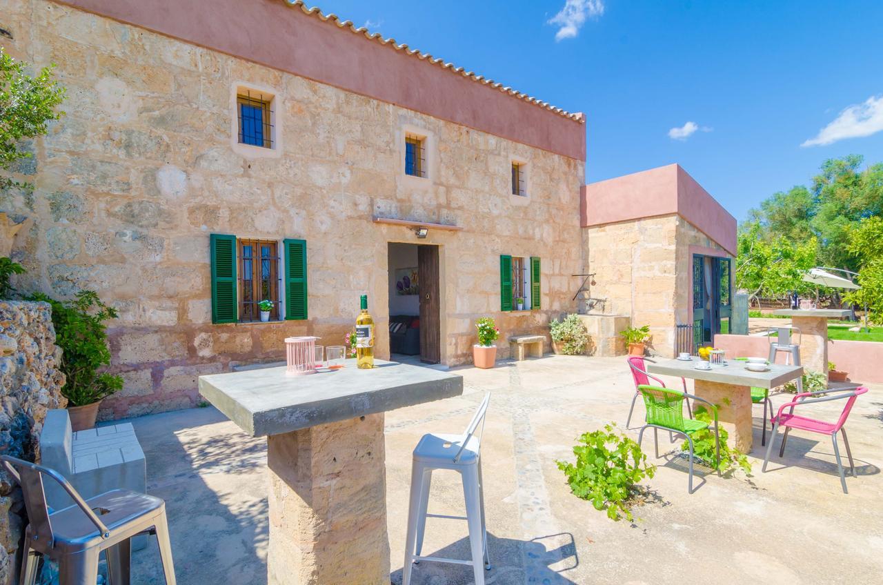 Potdir Villa Ariany