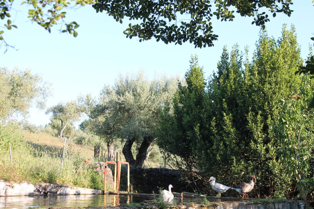 Guest house La Carnicera Constantina