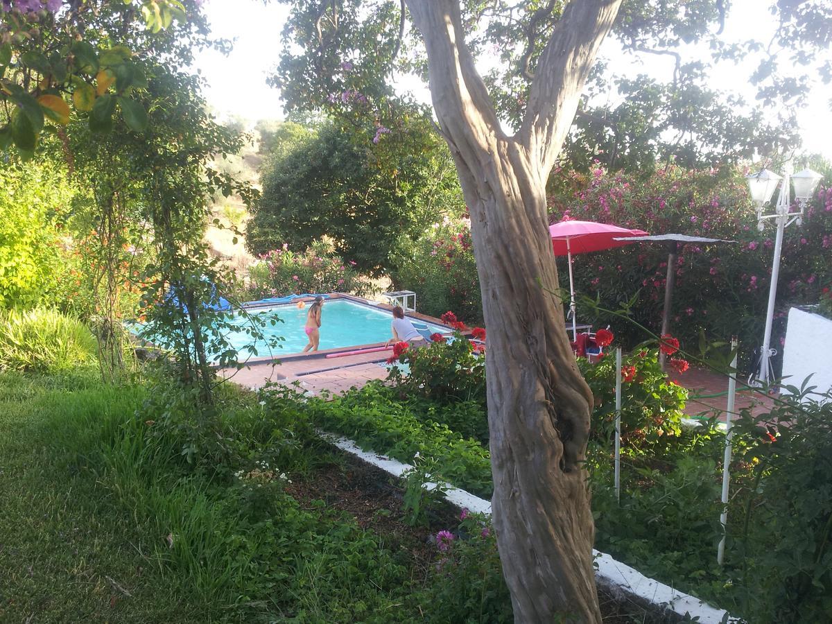 La Carnicera Guest house Constantina