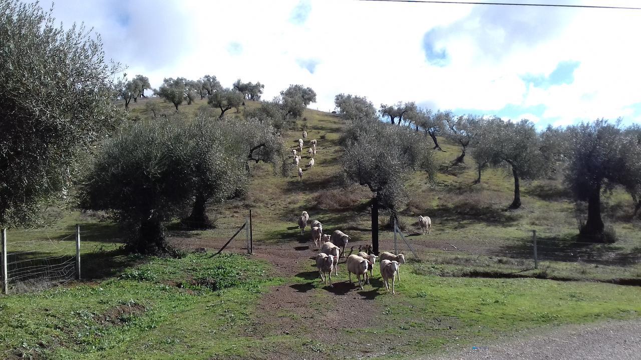 Guest house La Carnicera 3*