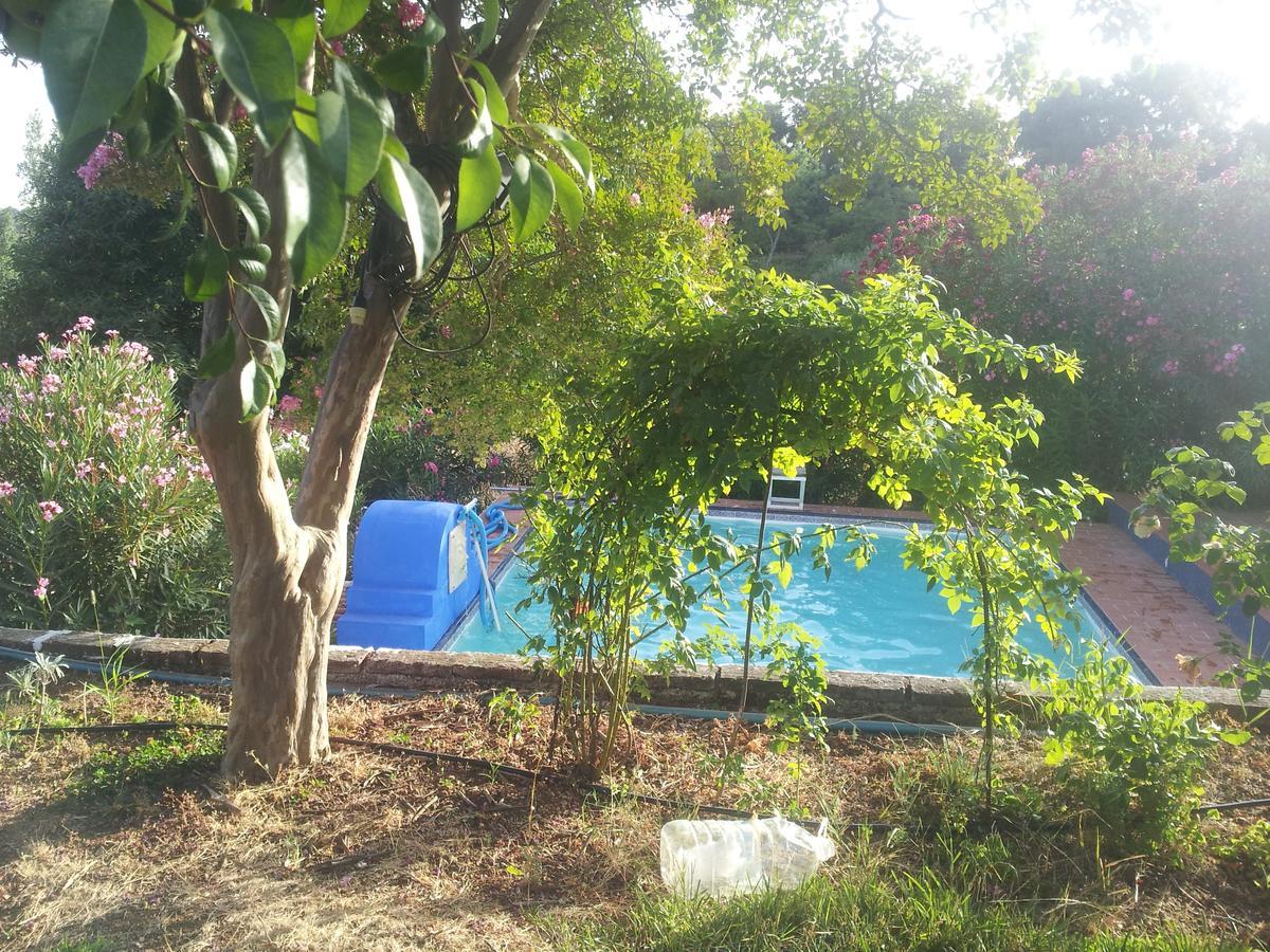 Guest house La Carnicera