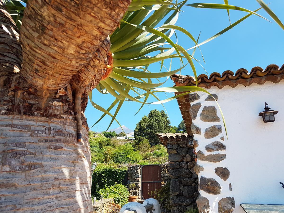 Ciruelos