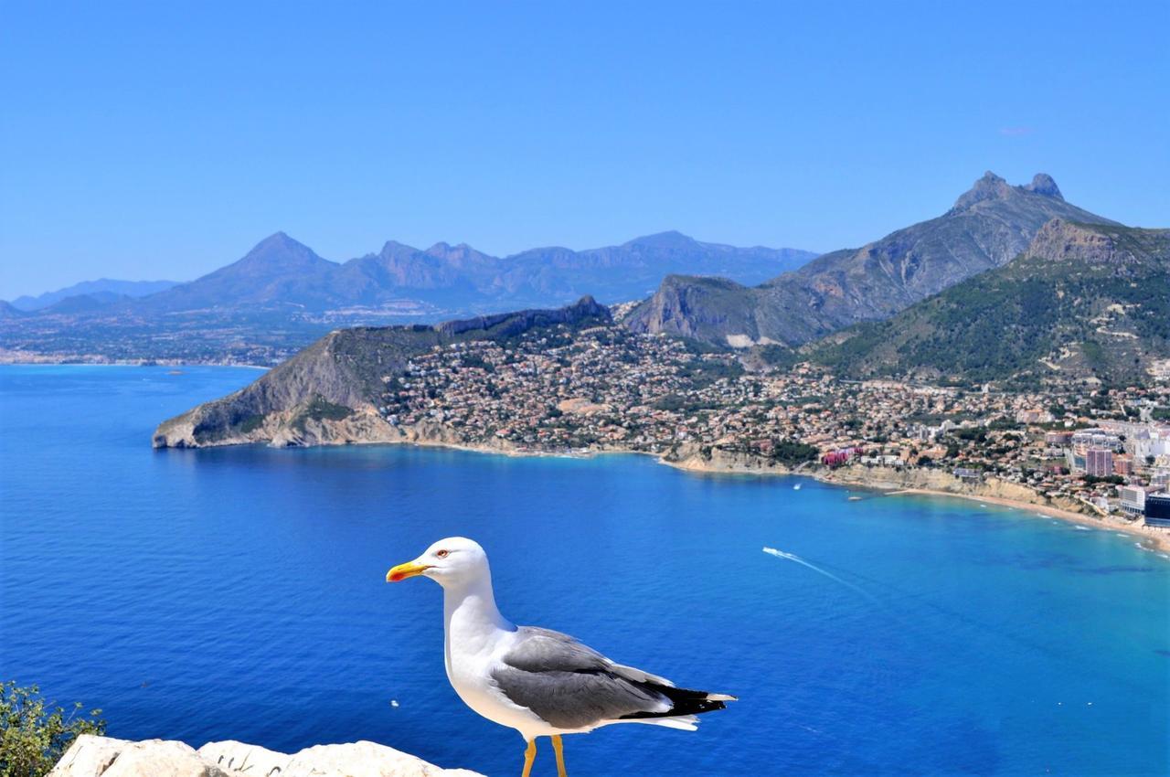 Apartment Aman128 Calpe