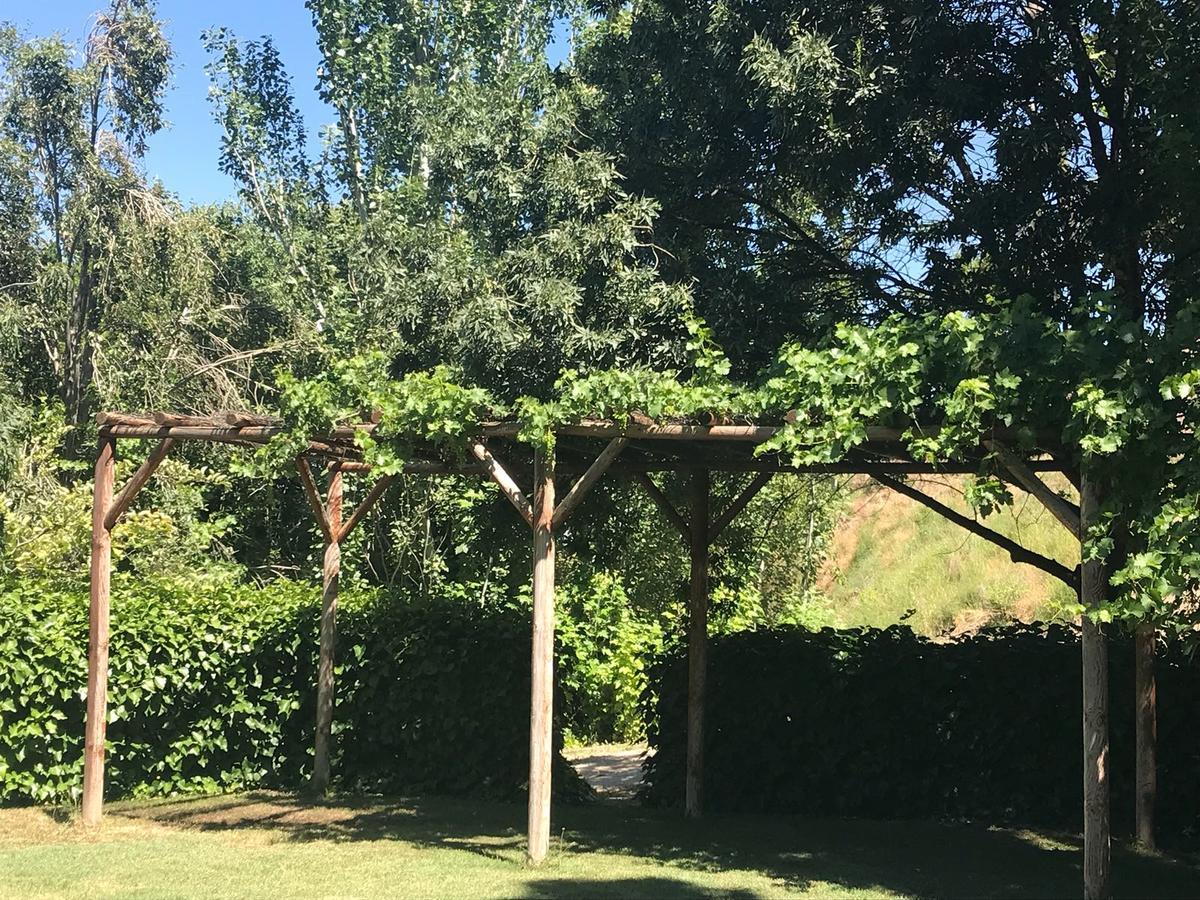 Cortijo Balzain Apartment